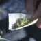 Marijuana Possession by Youths: Loophole in New York’s MRTA